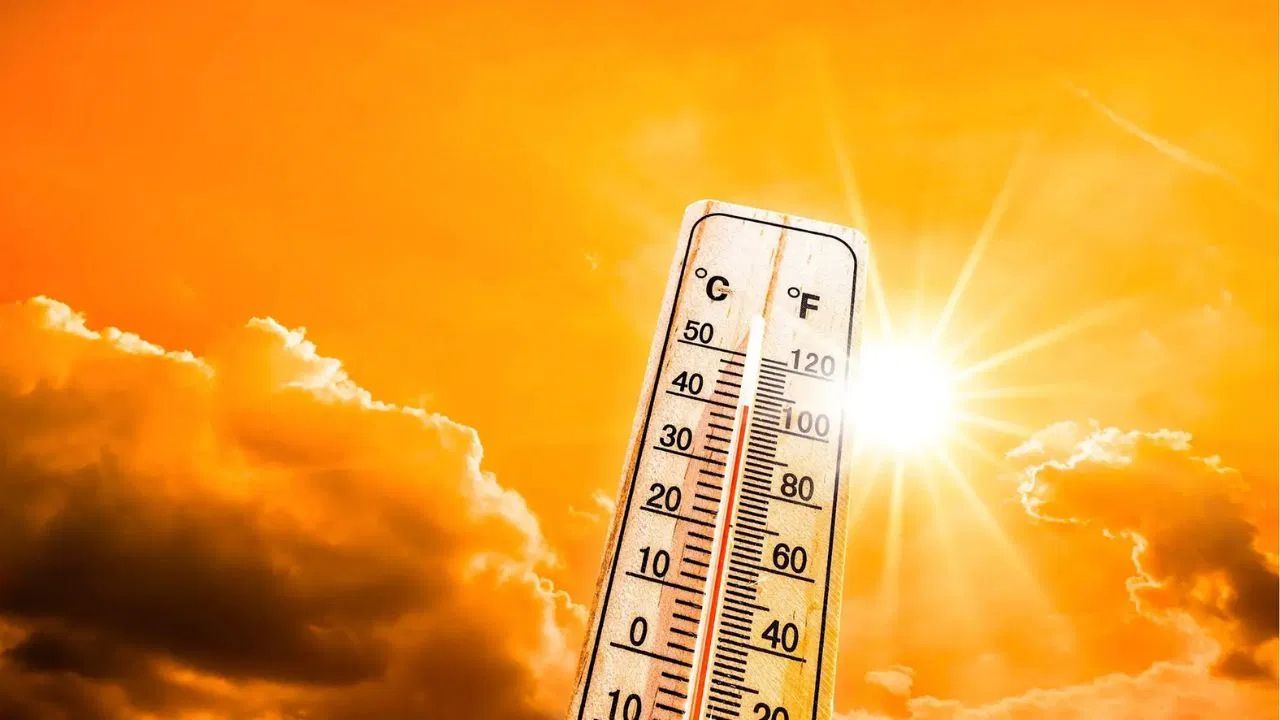 Morning fog and rising temperature in South Bengal as western disturbance affects weather